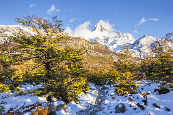 Argentina,Patagonia,Santa Cruz Province,Los Glaciares National Park,mountain path towards Mount Fitz Roy 