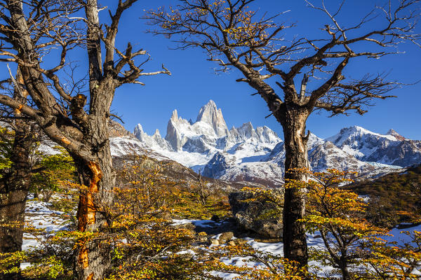 Argentina,Patagonia,Santa Cruz Province,Los Glaciares National Park,trees with autumn colors frame Mount Fitz Roy
