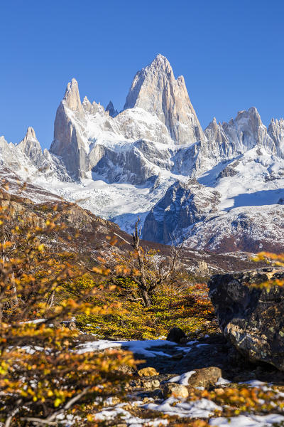 Argentina,Patagonia,Santa Cruz Province,Los Glaciares National Park,trees with autumn colors and Mount Fitz Roy