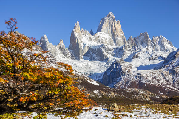 Argentina,Patagonia,Santa Cruz Province,Los Glaciares National Park,view of Mount Fitz Roy and the autumn colors trees