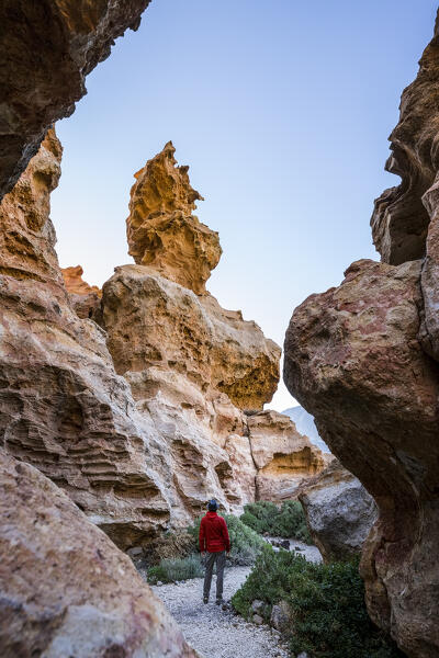 Spain, Canary Islands, Tenerife, Teide National Park, hiker among the rock formations of the cañadas del teide (MR)