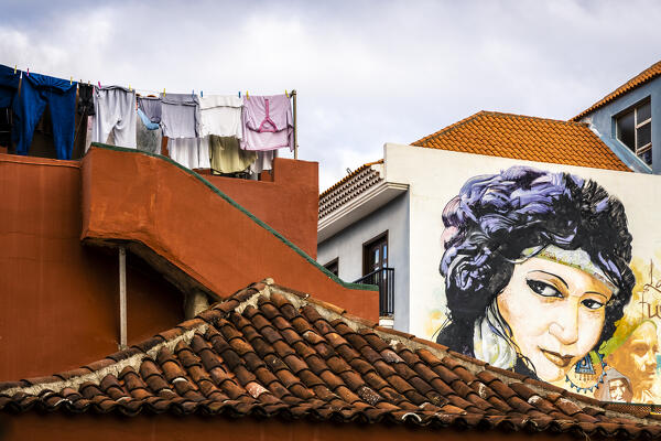 Spain,Canary Islands,Tenerife,Valle de La Orotava,Puerto de La Cruz,colourful houses of Calle Mequinez