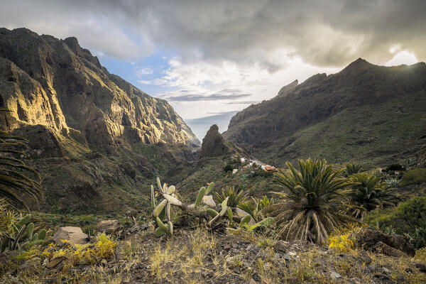 Spain,Canary Islands,Tenerife,Teno massif and Masca gorge at sunset