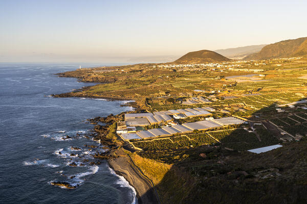Spain,Canary Islands,Tenerife,Buenavista del Norte,view of banana plantations from the viewpoint Punta del Fraile 