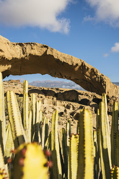 Spain,Canary Islands,Tenerife,Santa Cruz de Tenerife,natural formation of volcanic tuff of the Arco de Tajao