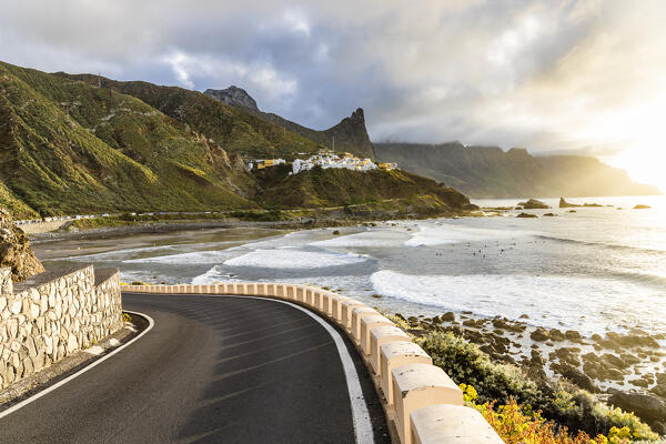 Spain,Canary Islands,Tenerife,Anaga Rural Park,Almaciga