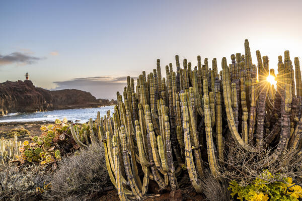 Spain,Canary Islands,Tenerife,Punta Teno lighthouse at sunset