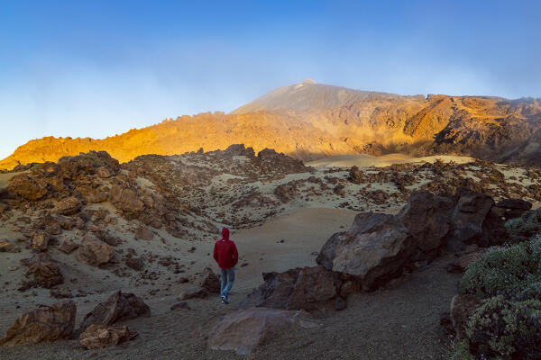 Spain, Canary Islands, Tenerife, Teide National Park, a hiker walks in the Teide caldera (MR)