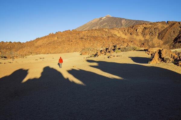 Spain, Canary Islands, Tenerife, Teide National Park, a hiker walks in the Teide caldera (MR)