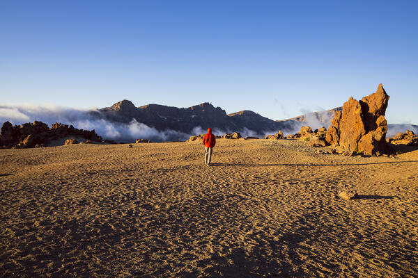 Spain, Canary Islands, Tenerife, Teide National Park, a hiker walks in the Teide caldera (MR)