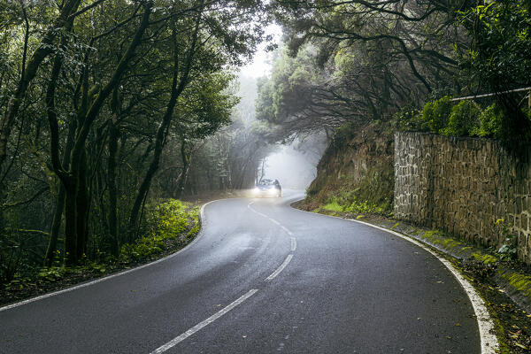 Spain, Canary Islands, Tenerife, the road to Mirador Cruz del Carmen