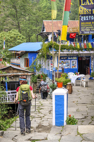 Typical lodges along the trekking trail,Annapurna region,Nepal, Asia
