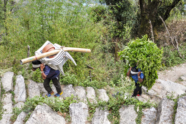Nepalese porters along the trekking trail,Annapurna region,Nepal, Asia