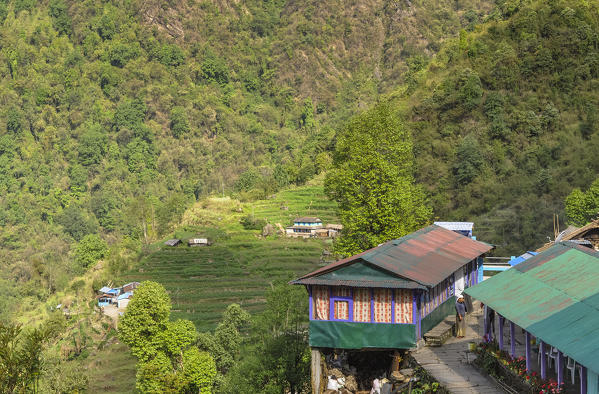 Sinuwa lodge in the morning, Annapurna region,Nepal, Asia