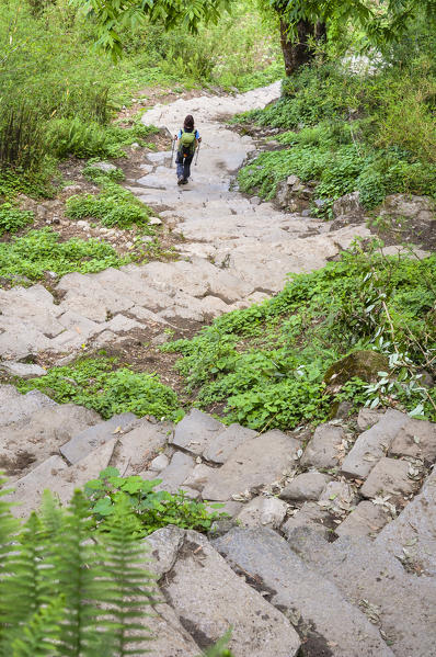 Walking along the path of Annapurna Base Camp trekking,Annapurna region,Nepal, Asia