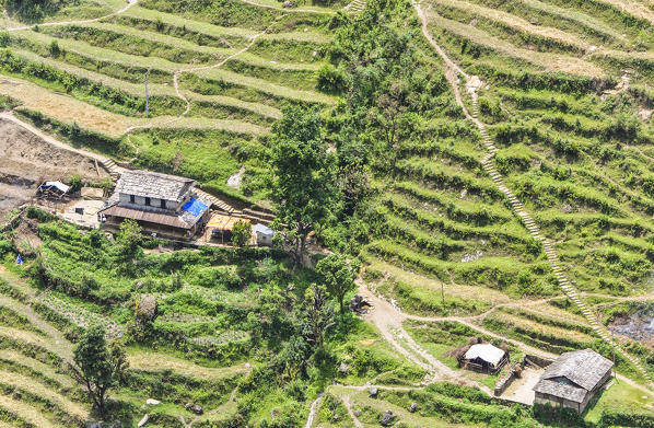 One of the many small farm that you see during the trek,Annapurna region,Nepal, Asia