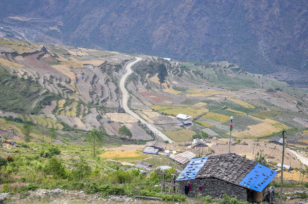 Variety of colors of the fields,Rasuwa district, Bagmati region,Nepal,Asia
