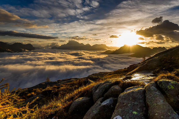 Europe,Dolomites,Italy,Veneto.
Facing the sun in Rolle pass
