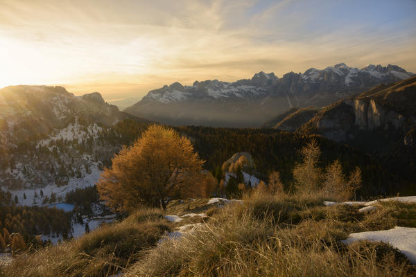 Europe,Italy,Dolomites,Trentino,Fassa valley.
Autumn in the San Nicolò Valley