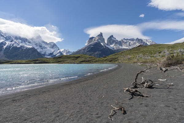 Beach on Nordenskjold Lake and Paine Horns in the background in summer. Torres del Paine National Park, Ultima Esperanza province, Magallanes region, Chile.