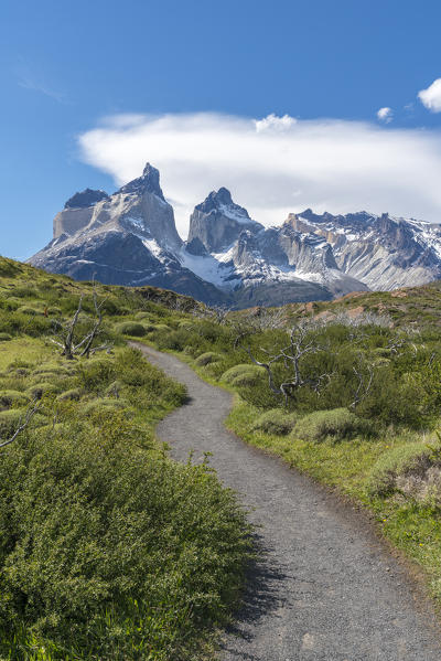 Footpath leading to Mirador Cuernos, with Paine Horns in the background in summer. Torres del Paine National Park, Ultima Esperanza province, Magallanes region, Chile.