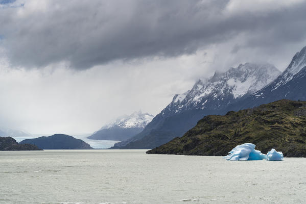 Icebergs on Grey Lake, with Grey Glacier in the background, on a rainy summer day. Torres del Paine National Park, Ultima Esperanza province, Magallanes region, Chile.