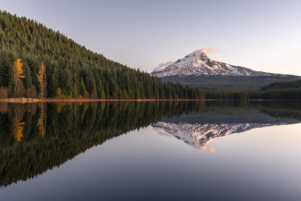 Mt Hood reflecting on Trillium Lake at dawn. Government Camp, Clackamas county, Oregon, USA.