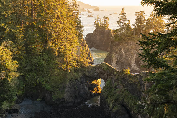 Landscape at sunset at the natural bridges in Samuel H. Boardman Scenic Corridor State Park. Brookings, Curry county, Oregon, USA.