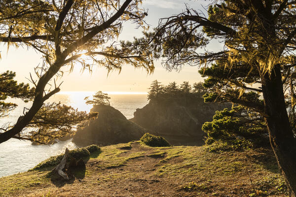 Landscape at Second Beach, part of the Samuel H. Boardman Scenic Corridor State Park. Brookings, Curry county, Oregon, USA.