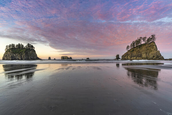 Sea stacks and reflection on low tide at dawn. Second Beach, La Push, Clallam county, Washigton State, USA.