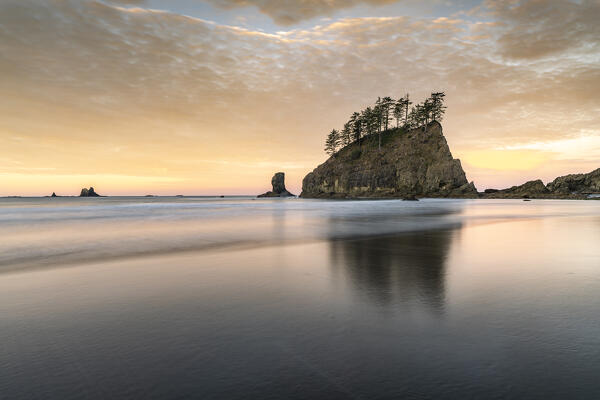 Sea stacks and reflection on low tide at dawn. Second Beach, La Push, Clallam county, Washigton State, USA.