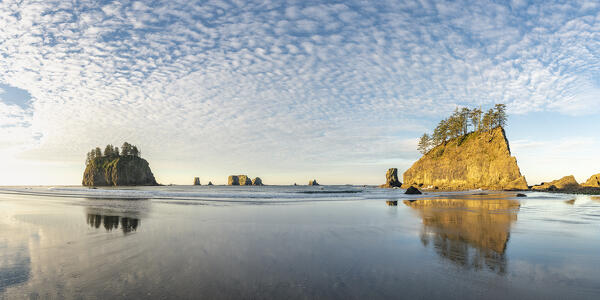 Sea stacks and reflection on low tide at Second Beach, La Push, Clallam county, Washigton State, USA.
