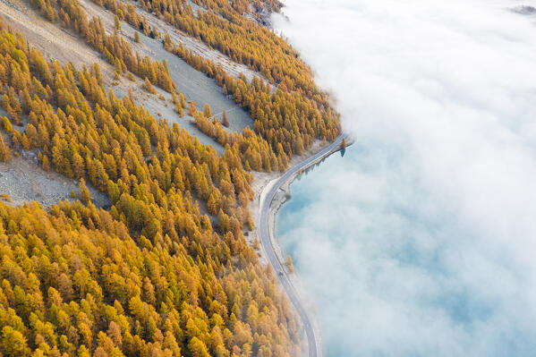 Switzerland, Canton of the Grisons, Maloja region, Sils im Engadin/Segl: lone car driving on the road along Lake Sils covered by low clouds, in autumn.