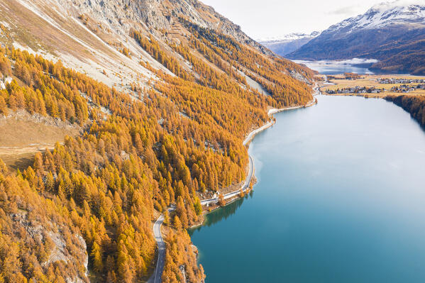 Switzerland, Canton of the Grisons, Maloja region, Sils im Engadin/Segl: road alongside Lake Sils in autumn, with the villages of Sils-Baselgia and Sils-Maria and Lake Silvaplana in the background.