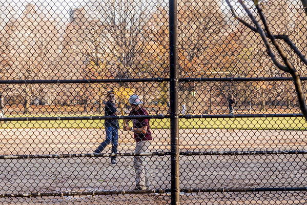 baseball player in central park, New York City, USA