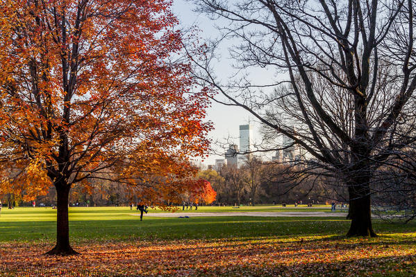 Central Park, New York City, USA