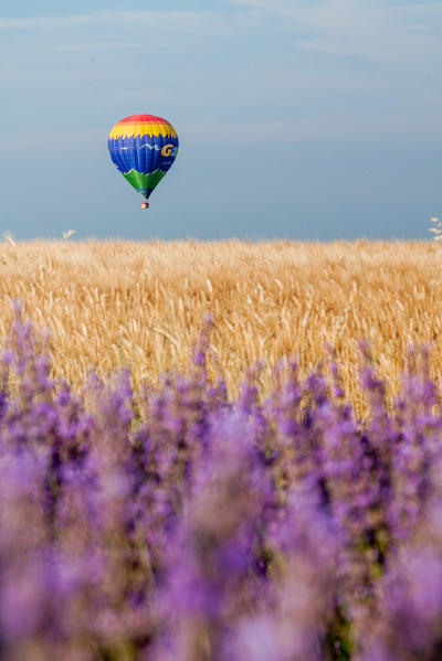 France, Provence Alps Cote d'Azur, Haute Provence, Plateau of Valensole. hot air ballon in Provence