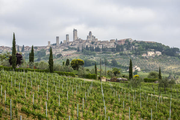 View of the town of San Gimignano, Orcia Valley, Siena district, Tuscany, Italy.