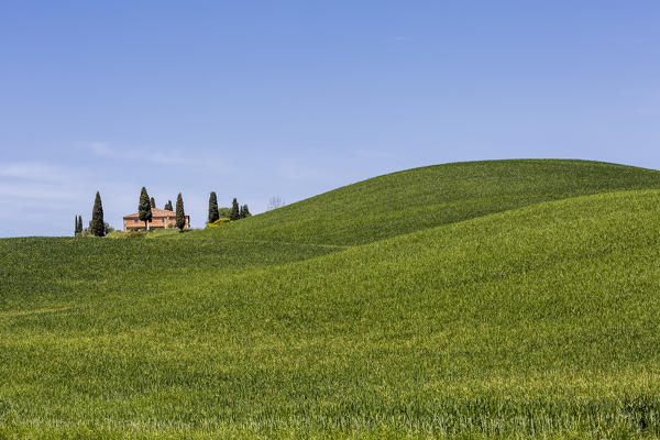 Farmhouse with cypresses on the hills. Orcia Valley, Siena district, Tuscany, Italy.