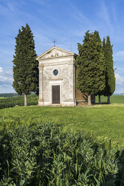 Madonna di Vitaleta chapel, San Quirico d'Orcia. Orcia Valley, Siena district, Tuscany, Italy.