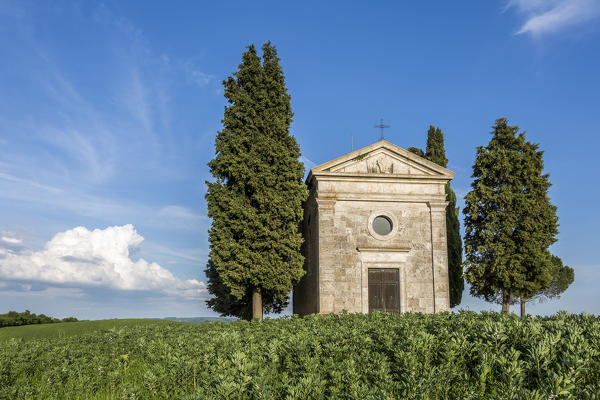 Madonna di Vitaleta chapel, San Quirico d'Orcia. Orcia Valley, Siena district, Tuscany, Italy.