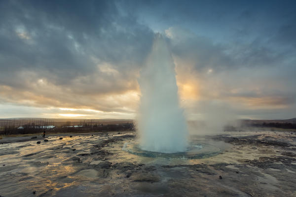 Strokkur Geyser eruption at dawn, Haukadalur Geothermal Area, Haukadalur, Arnessysla, Sudurland, Iceland, Europe