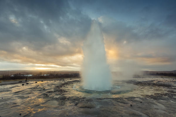 Strokkur Geyser eruption at dawn, Haukadalur Geothermal Area, Haukadalur, Arnessysla, Sudurland, Iceland, Europe