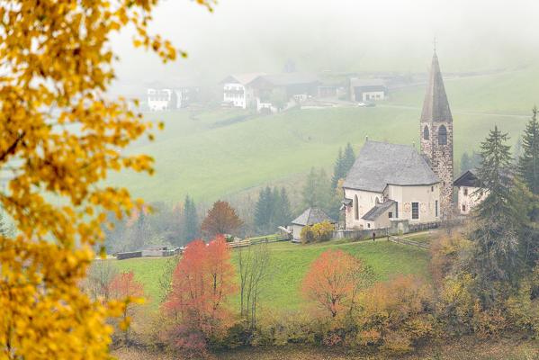 Church surrounded by autumnal trees and mist. Santa Maddalena, Funes, Bolzano, Trentino Alto Adige - Sudtirol, Italy, Europe.