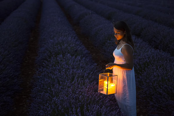 Woman with lantern at dawn in a lavender field. Plateau de Valensole, Alpes-de-Haute-Provence, Provence-Alpes-Côte d'Azur, France, Europe.