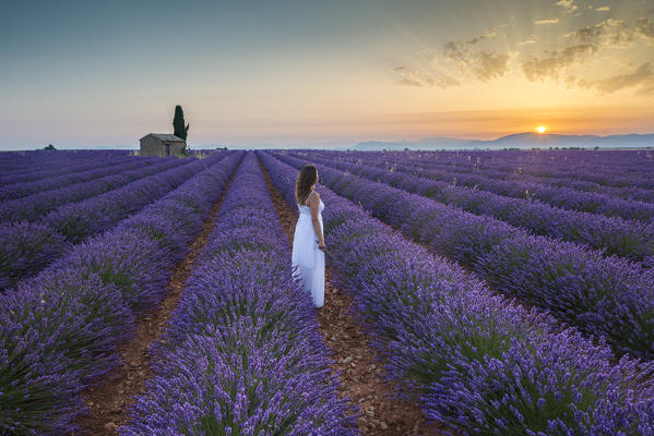 Woman at dawn in a lavender field. Plateau de Valensole, Alpes-de-Haute-Provence, Provence-Alpes-Cote d'Azur, France, Europe.