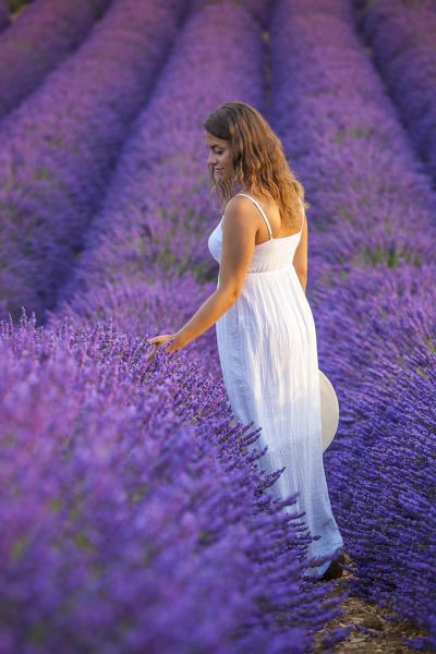 Woman in a lavender field. Plateau de Valensole, Alpes-de-Haute-Provence, Provence-Alpes-Cote d'Azur, France, Europe.