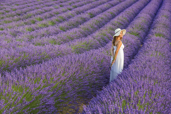 Woman with hat in a lavender field. Plateau de Valensole, Alpes-de-Haute-Provence, Provence-Alpes-Cote d'Azur, France, Europe.