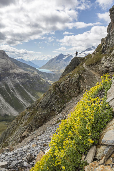 Hiker along the trail. Engadin, Graubunden, Switzerland.