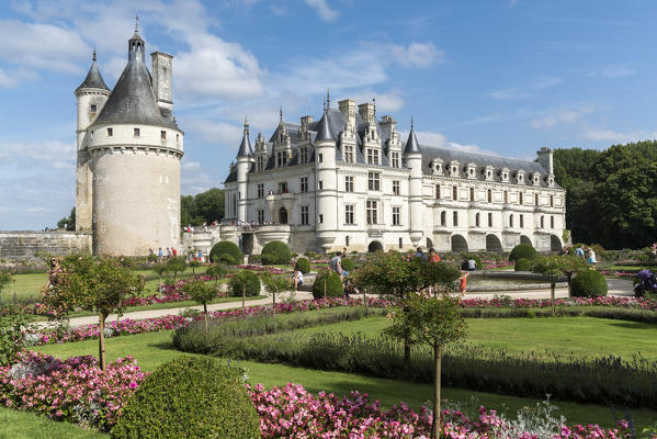 Summer flowers in the park of Chenonceau castle. Chenonceaux, Indre-et-Loire, France.